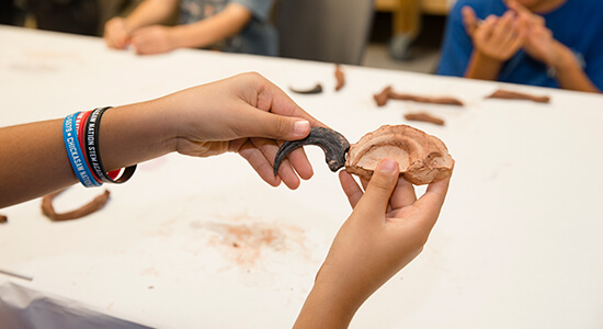 Junior Native Explorers