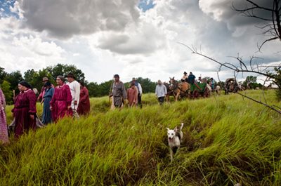 People walking through tall grass